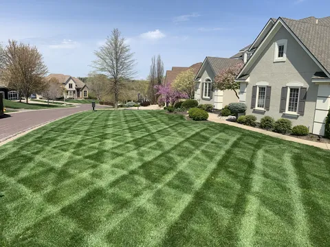 Lawn stripe detail